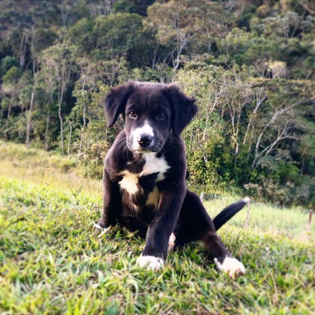 Sitio Recanto Da Preguica *